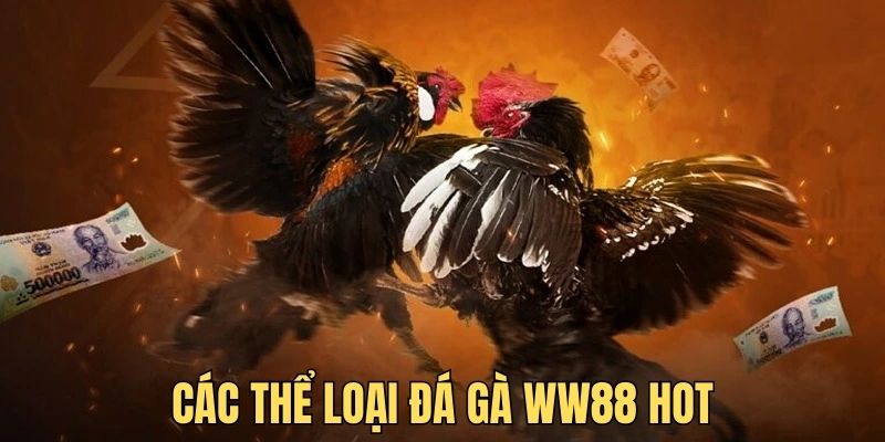 Nhiều thể loại cược đá gà WW88 thỏa sức trải nghiệm