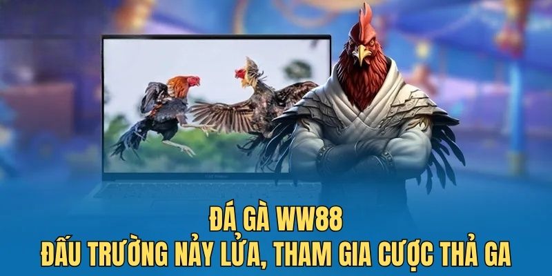 Đá gà WW88 - Sảnh chơi chuyên nghiệp, tỷ lệ cược hấp dẫn