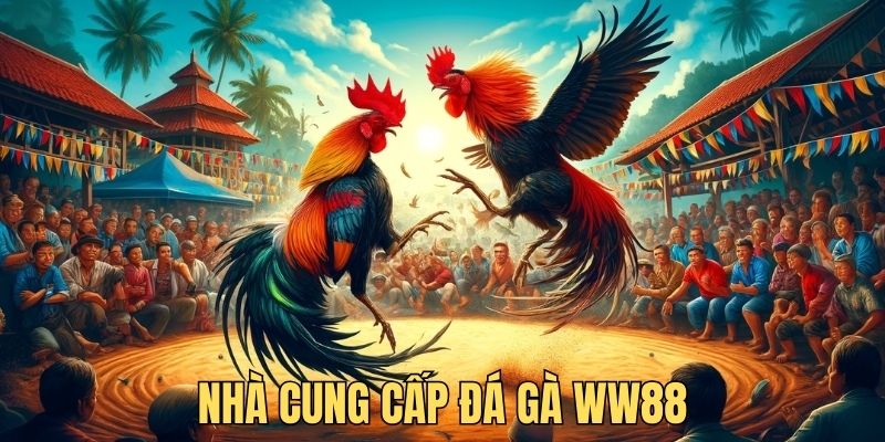 Nhà cung cấp uy tín tại đá gà WW88 trong mắt người chơi