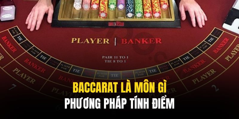 Phương pháp tính điểm dựa trên quy tắc chung của đa số bộ môn casino